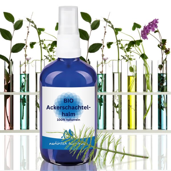 Bio Ackerschachtelhalm Hydrolat