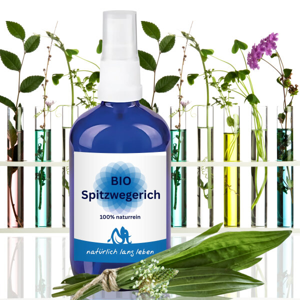 BIO Spitzwegerich Hydrolat 100 ml