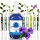 BIO Wildes Stiefmütterchen Hydrolat 100 ml