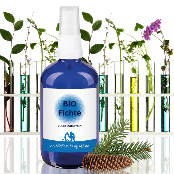 BIO Fichte Hydrolat 100 ml